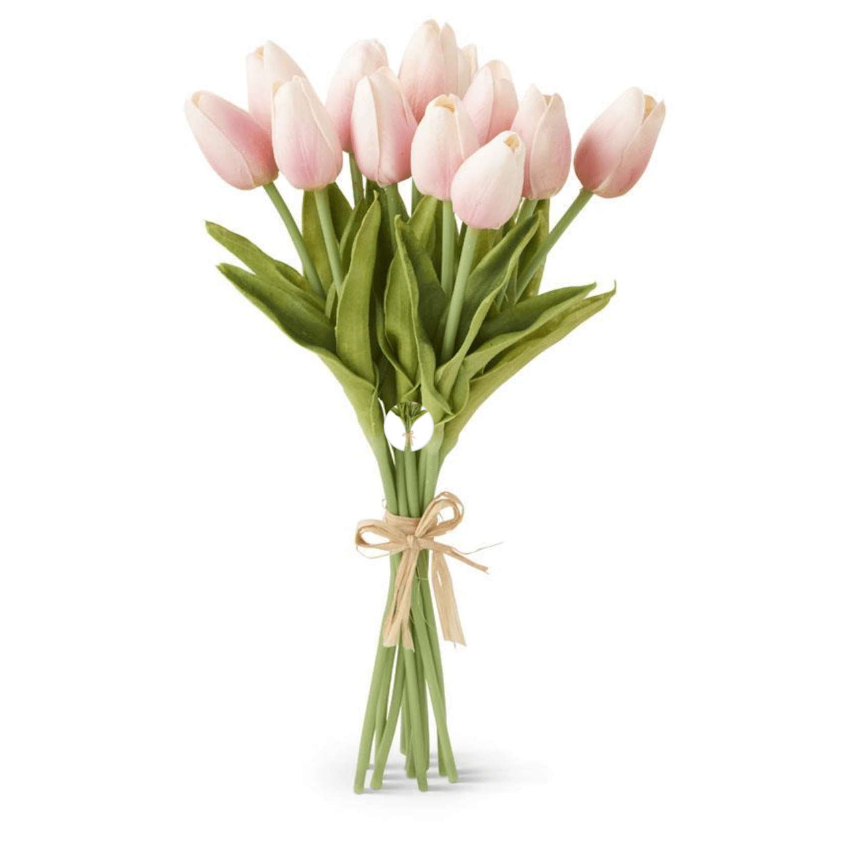 Tulip Flower Stems Bundle, 10 Piece