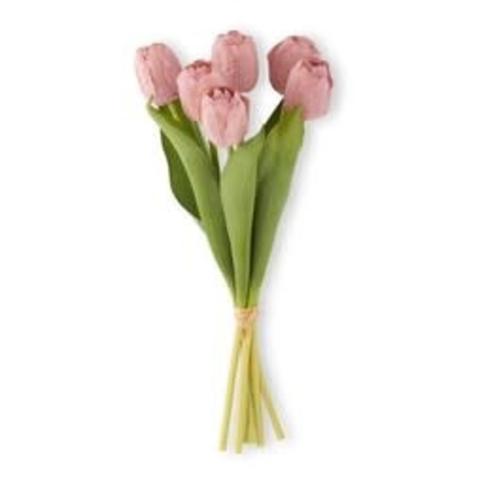 18427A-COR 13 Inch Coral Real Touch Tulip Bundle (6 Stem)