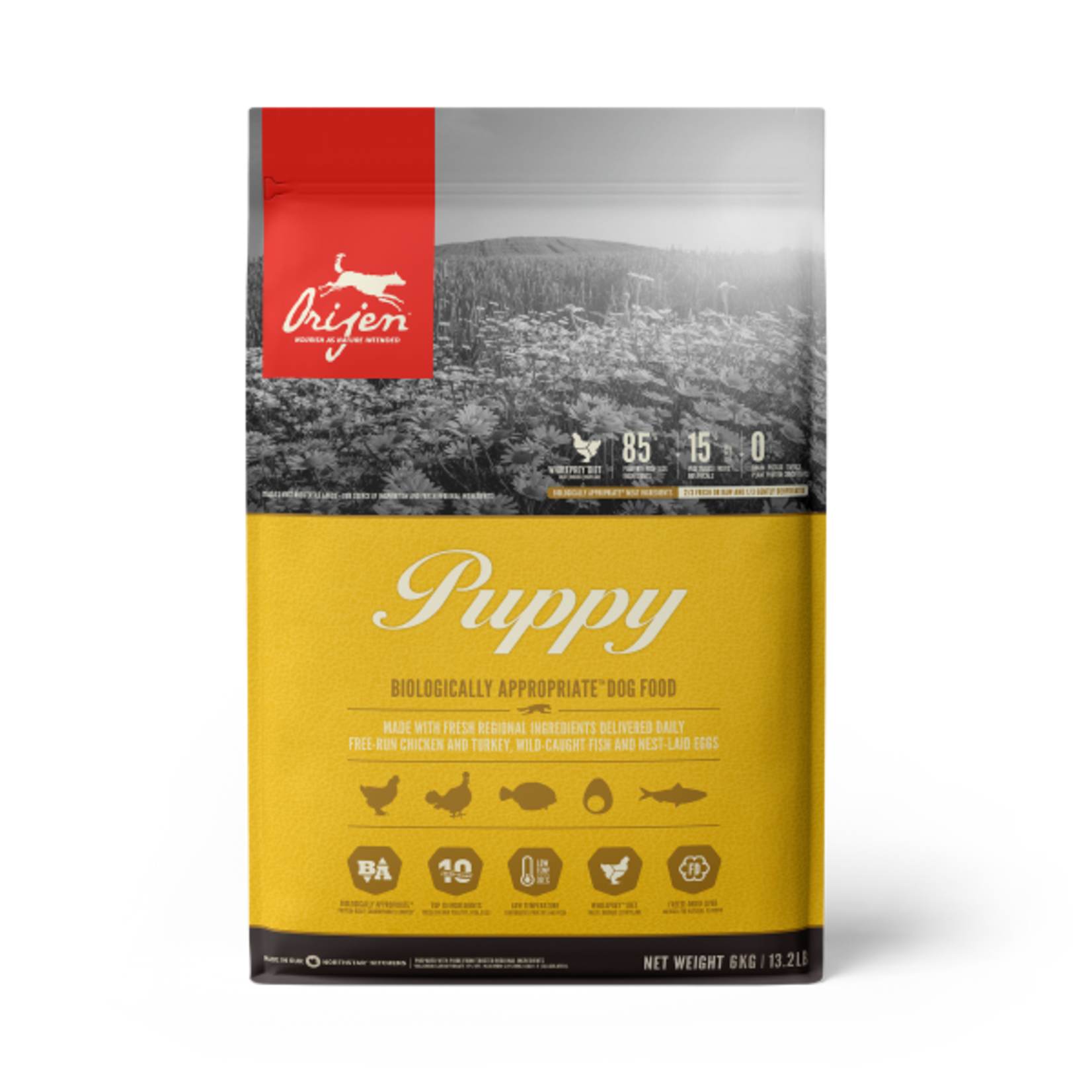 Orijen Orijen Dog Puppy 6kg