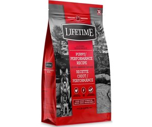 All stages dog food clearance