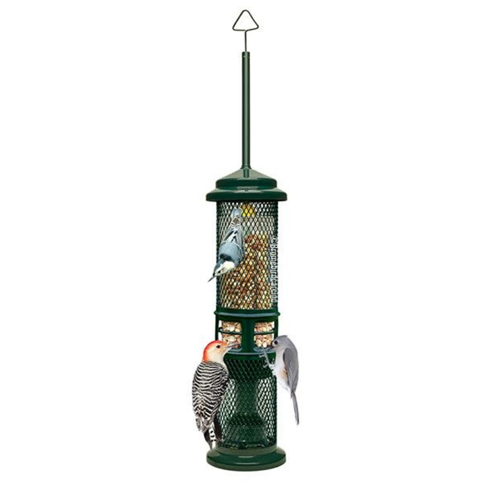 Squirrel Buster Nut Feeder