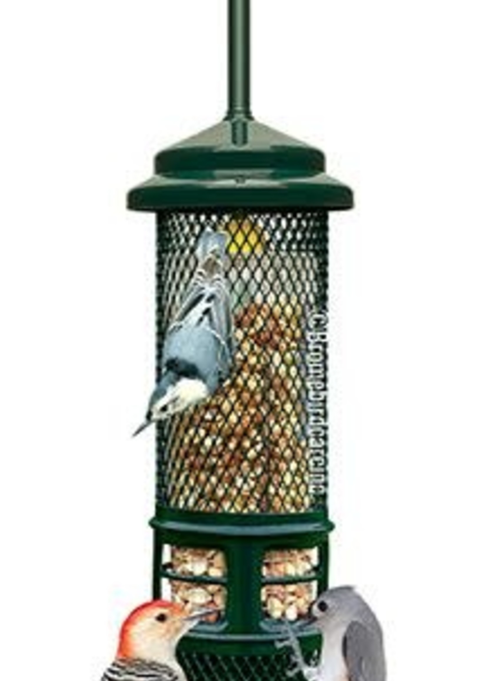 Squirrel Buster Squirrel Buster Nut Feeder