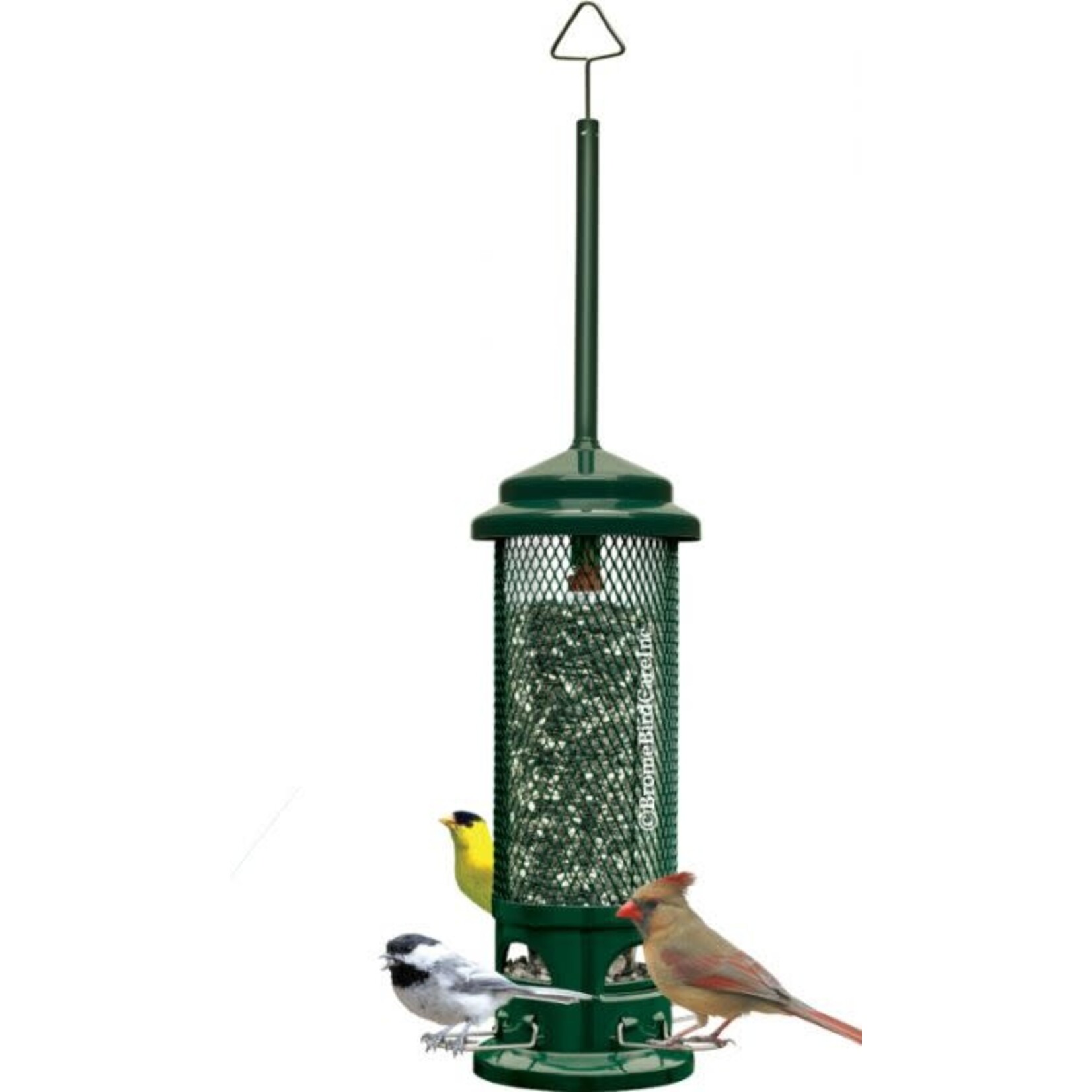 Squirrel Buster Legacy Feeder