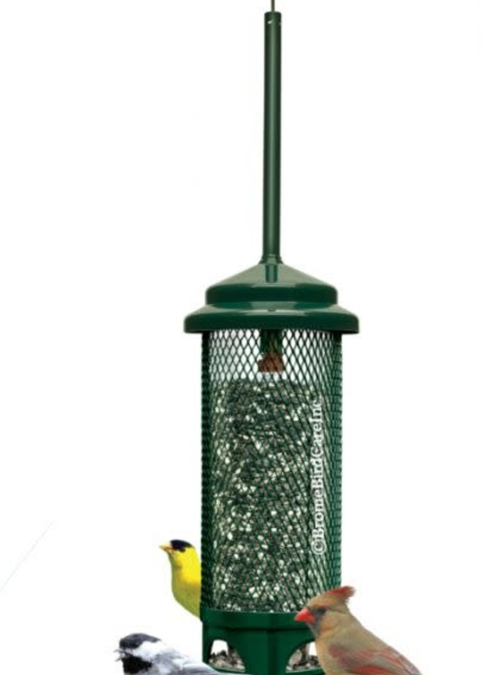 Squirrel Buster Squirrel Buster Legacy Feeder