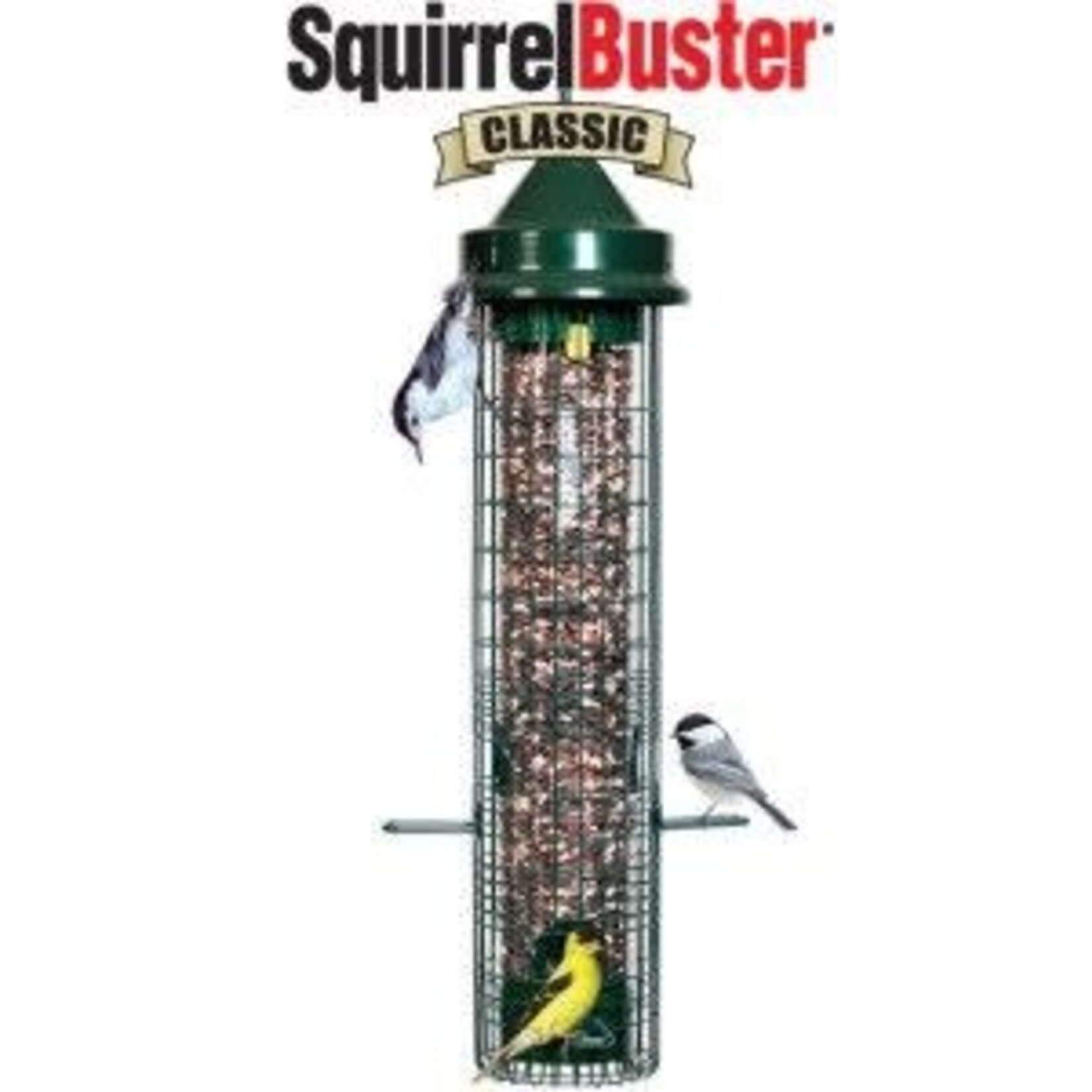 Squirrel Buster Classic Feeder