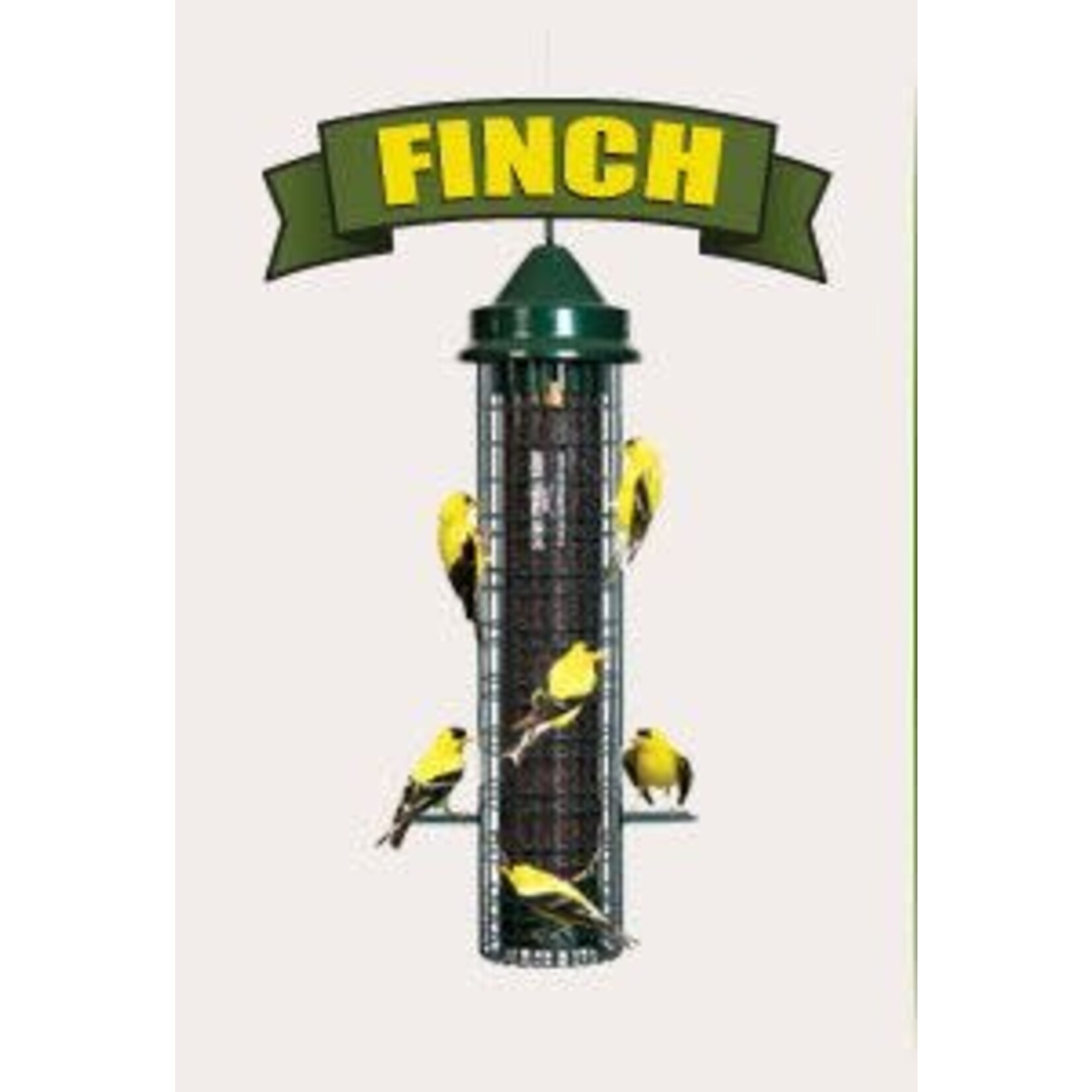 Squirrel Buster Finch