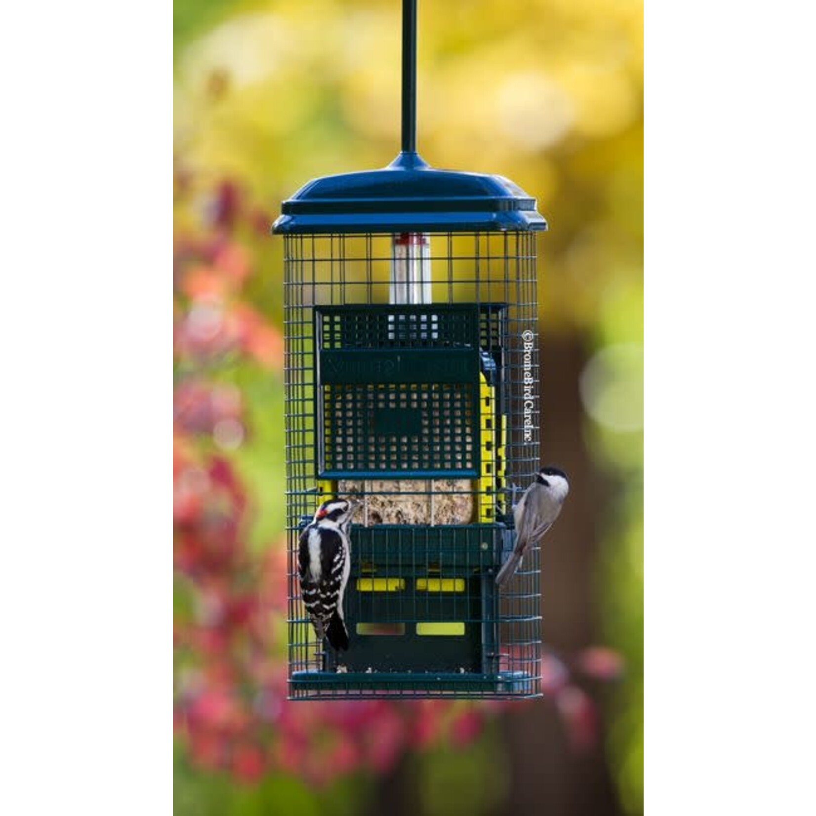 Squirrel Buster Suet