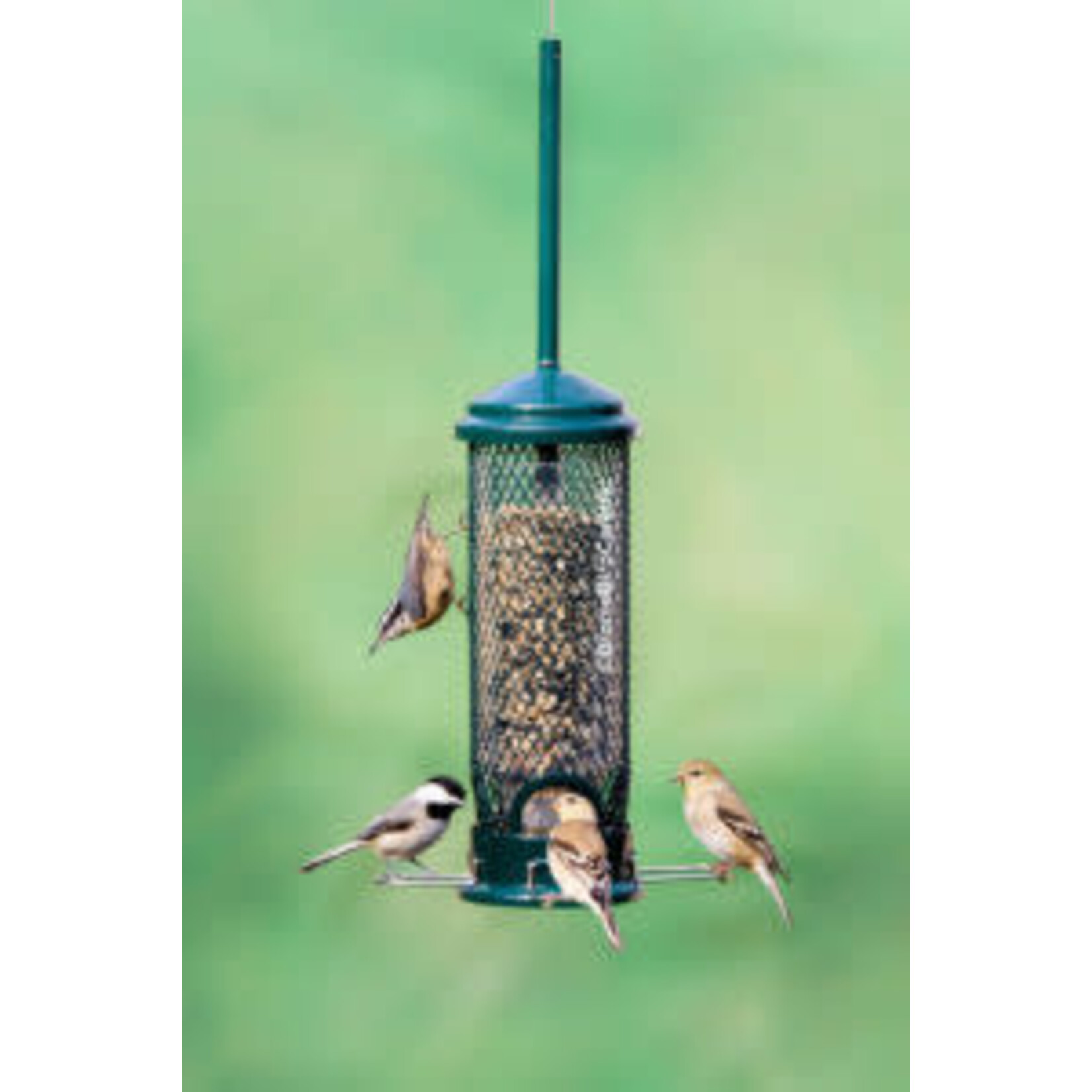 Squirrel Buster Mini