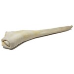 Open Range™ Open Range Bull Tail  Full Length CASE