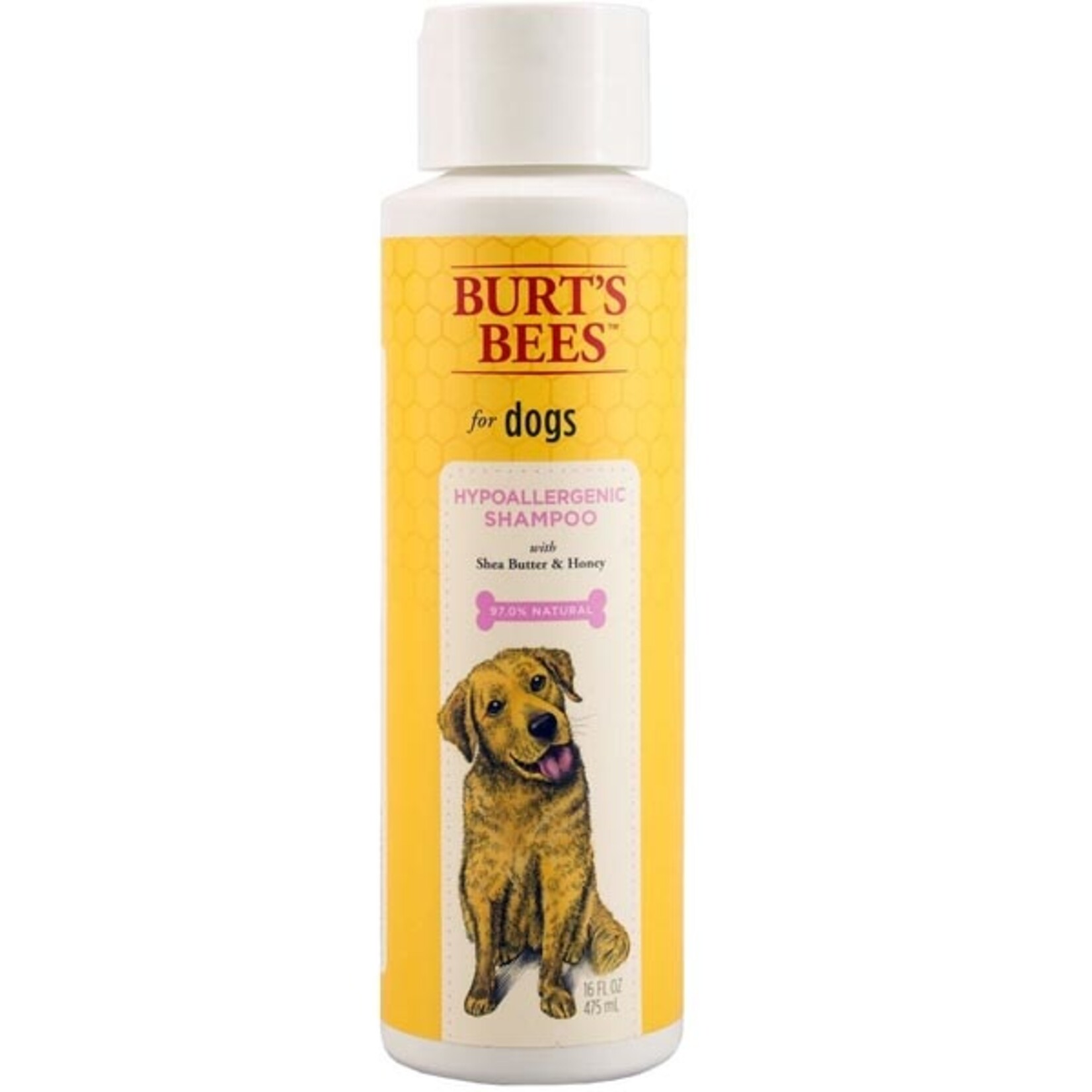 Burt's Bees Burts Bees  Hypoallergenic Shampoo 16oz