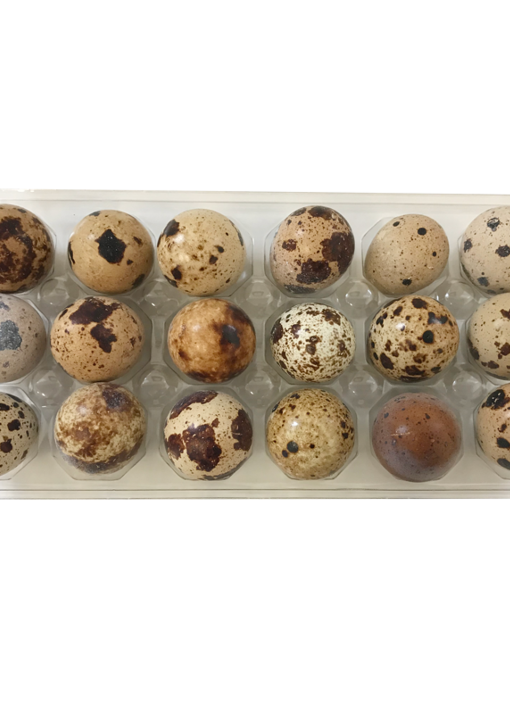 Big Country Raw Big Country Raw Quail Eggs Frozen 18 pack