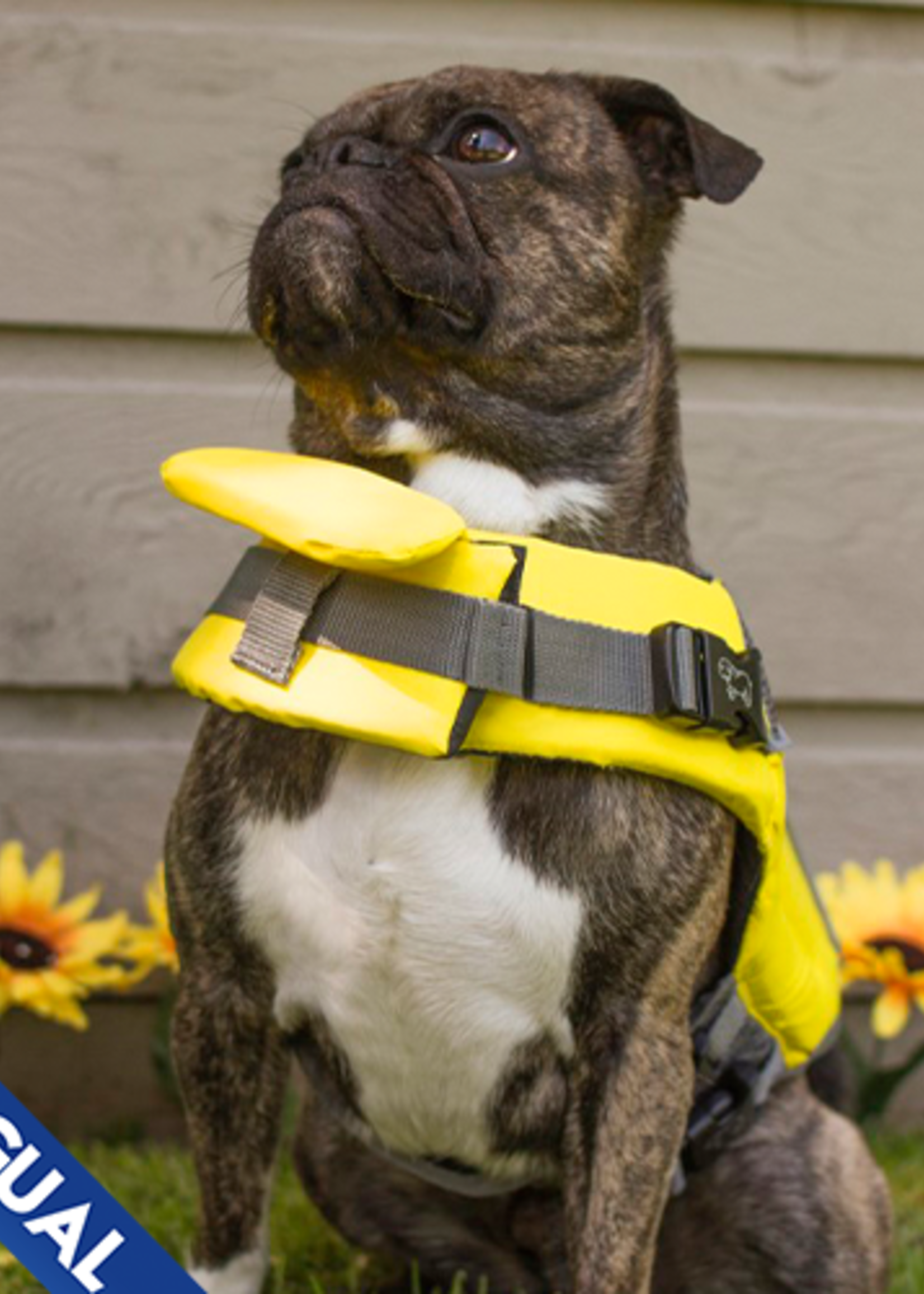 Canada Pooch Wave Rider Life Jacket Yellow Large