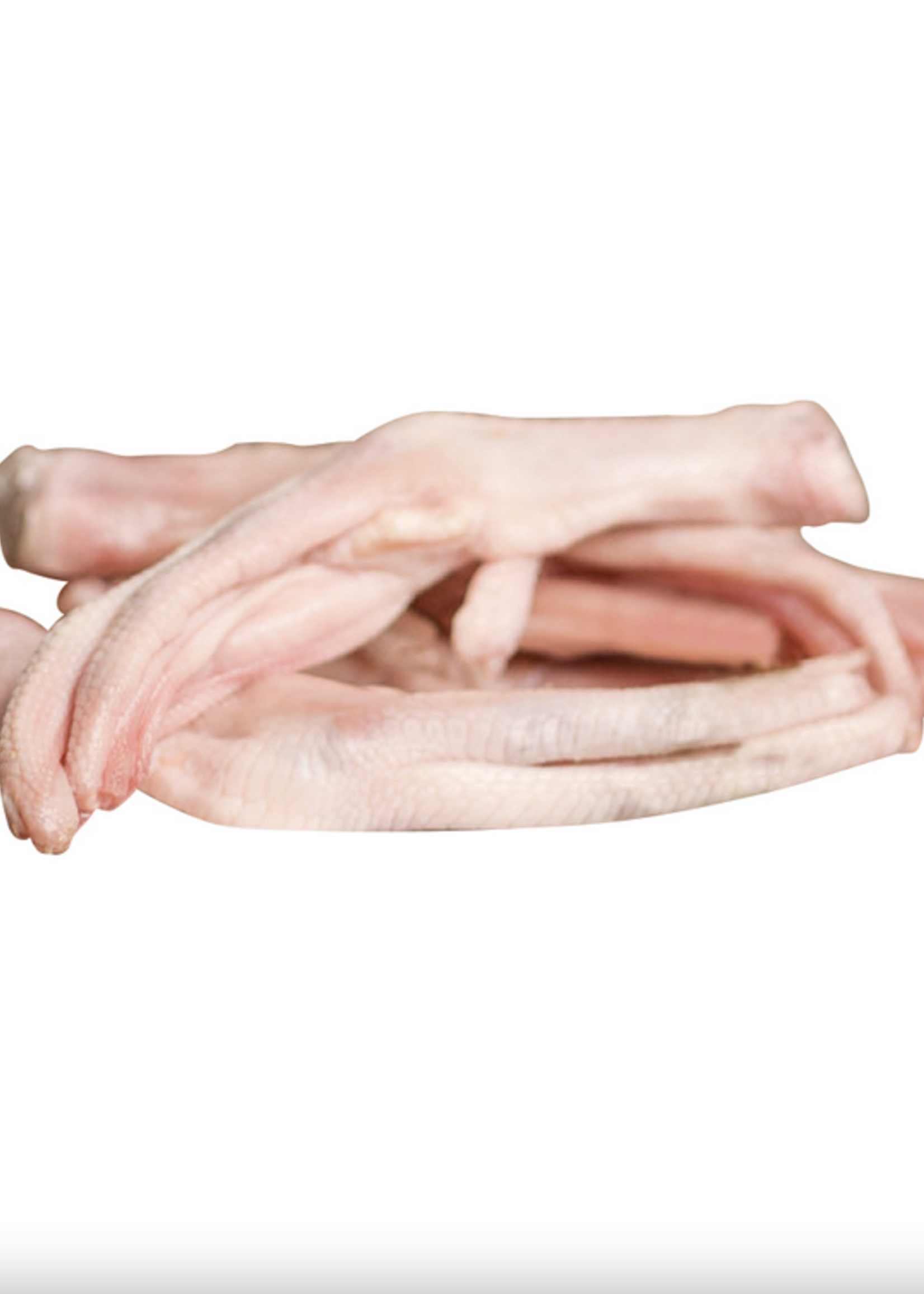 Big Country Raw Big Country Raw Duck Feet 1lb