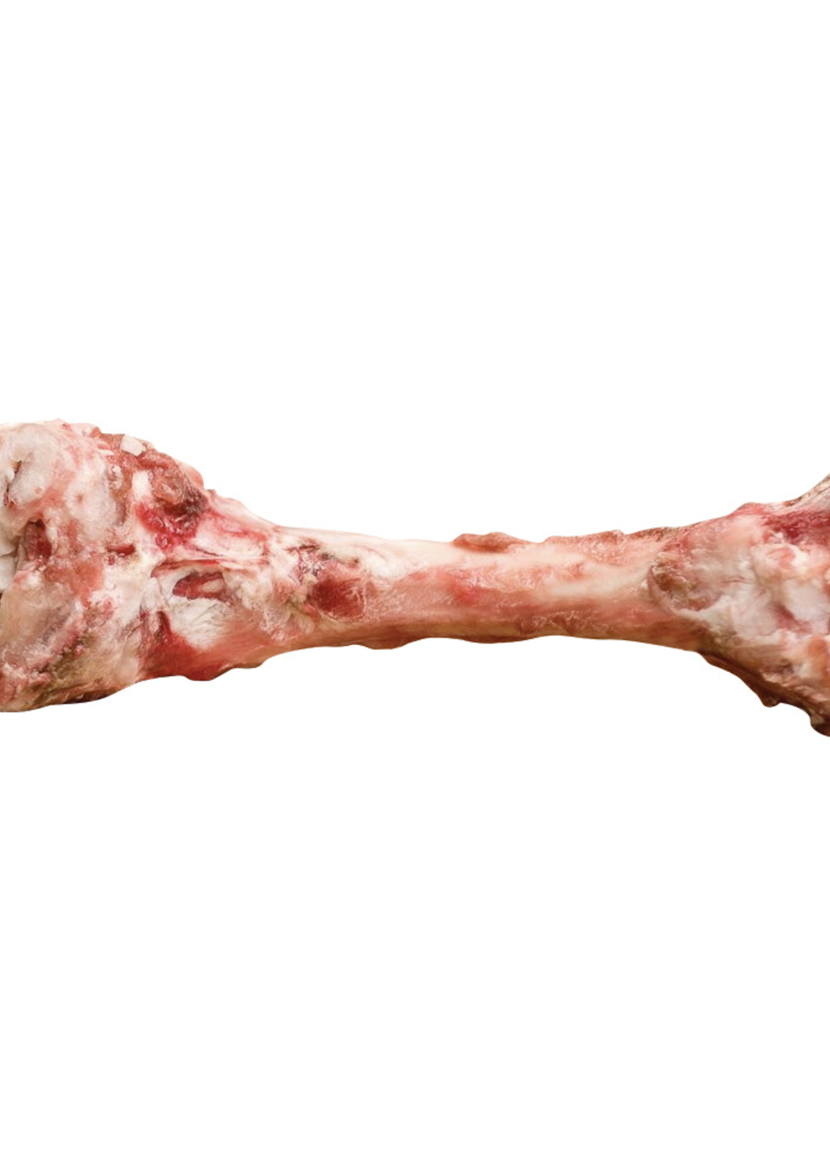 Big Country Raw Big Country Raw Lamb Femur 2 pieces