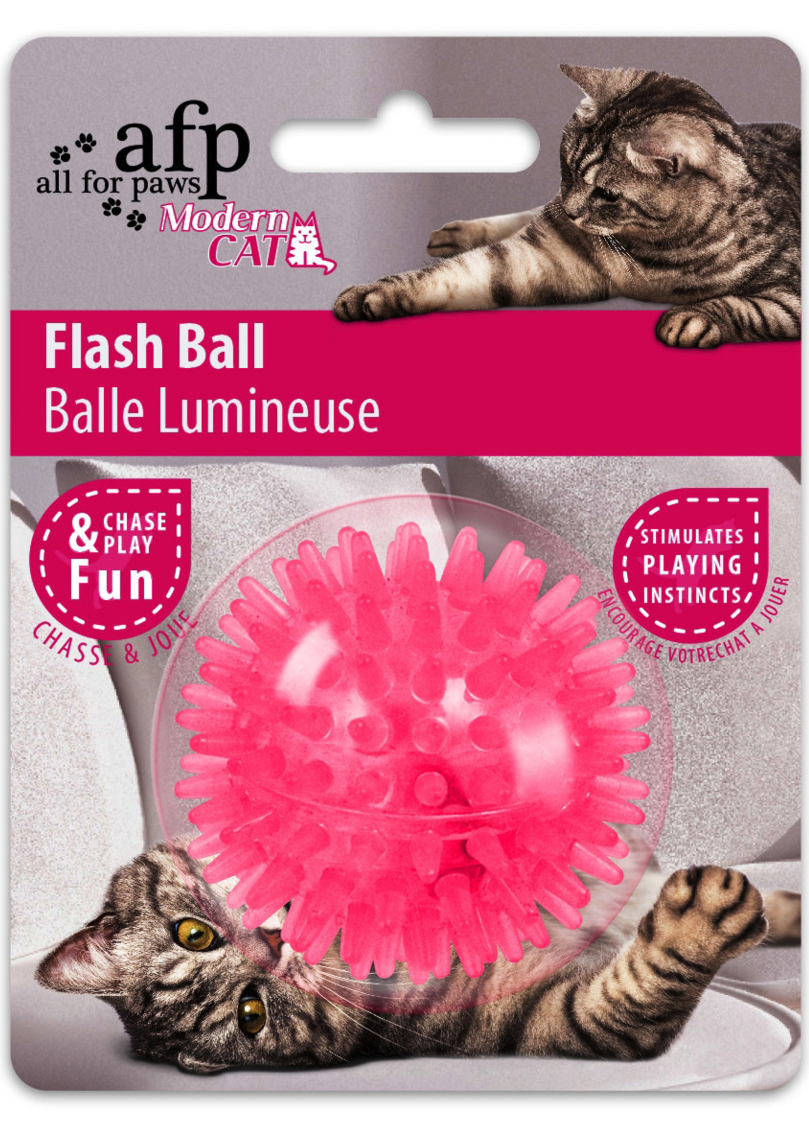 flashing cat ball