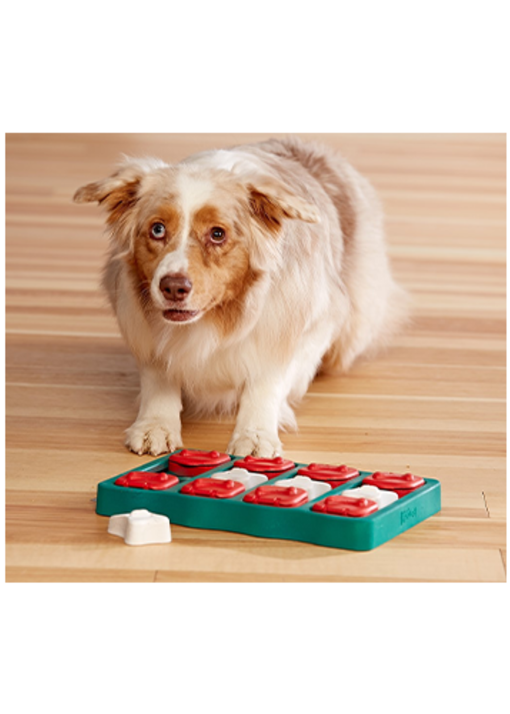 Outward Hound Outward Hound Dog Smart Brick Game Puzzle Nina Ottosson Level 2