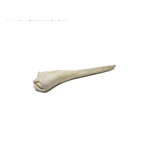 Open Range™ Open Range Bull Tail  Full Length