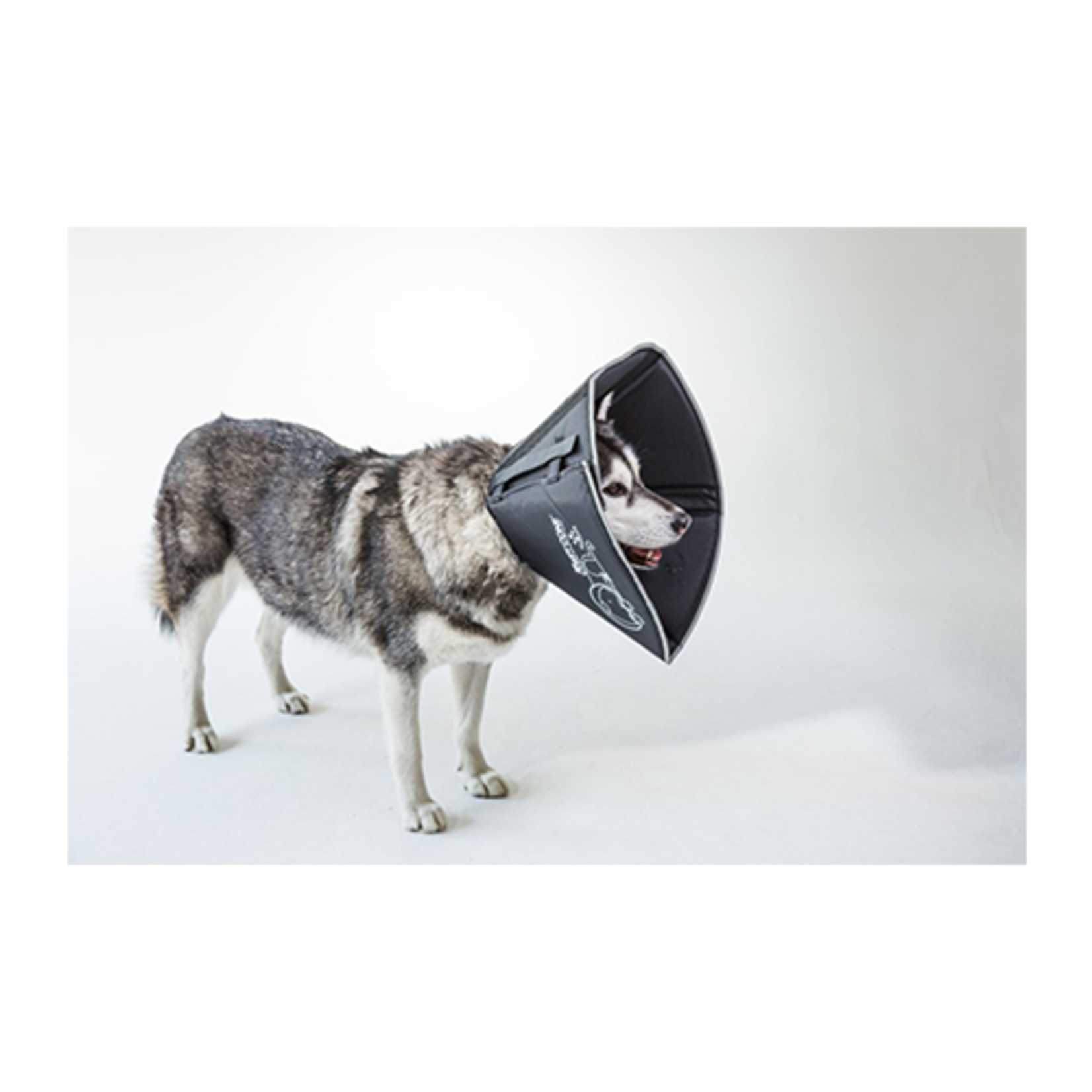 The Comfy Cone X-Large