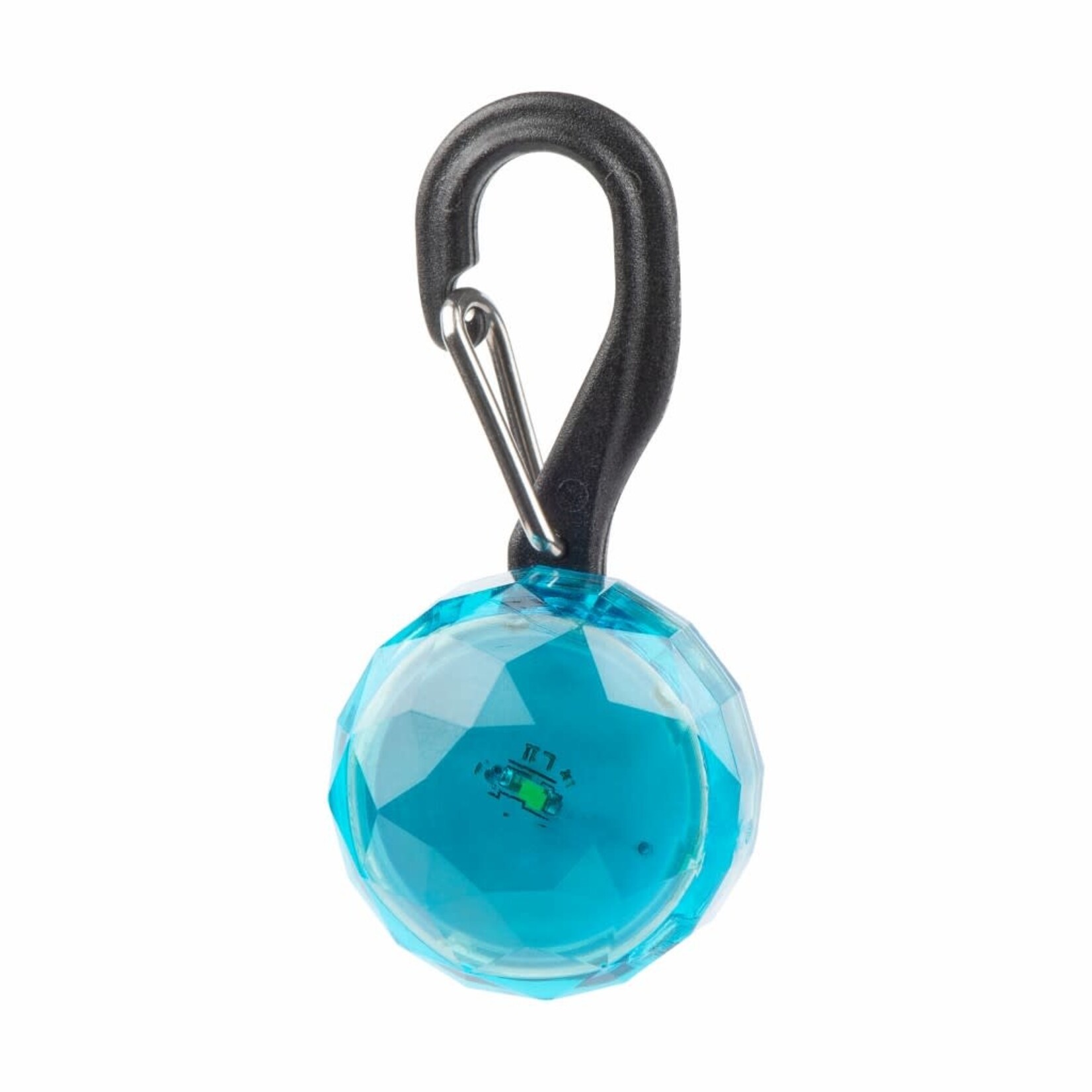 Nite Ize PetLit Turquoise