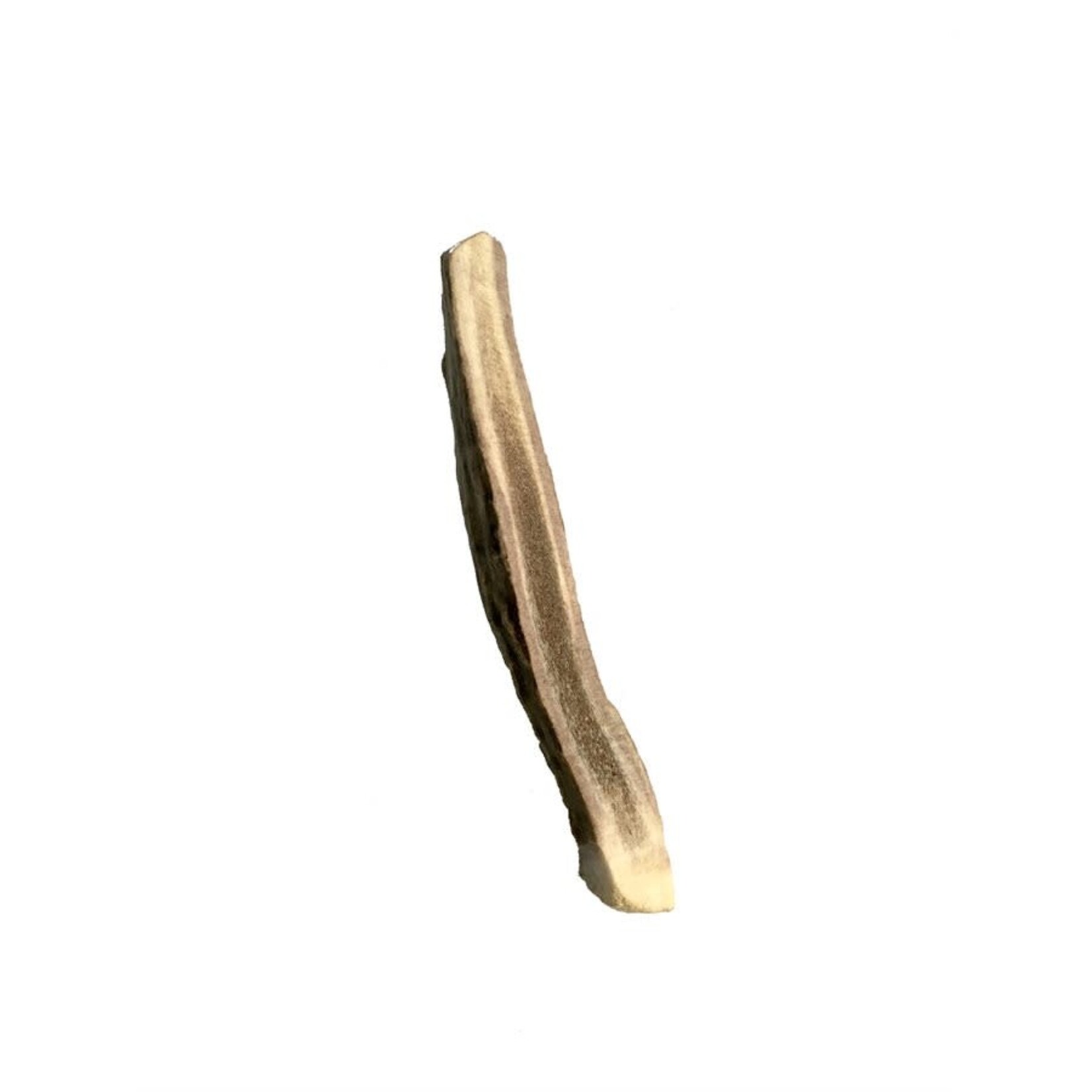 Antler Chewz Antler Chewz Medium Split