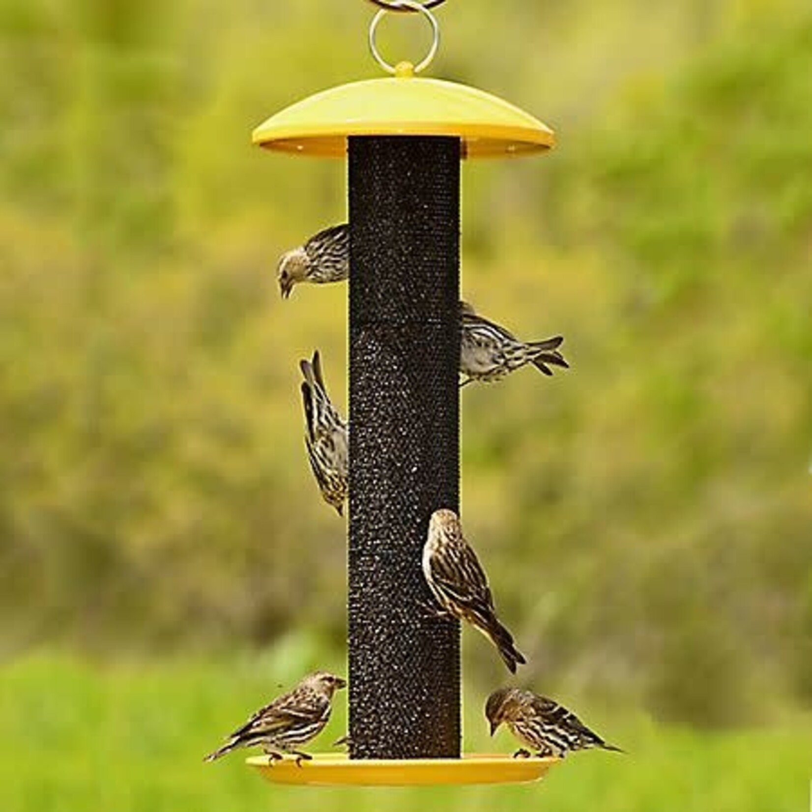 No-No Finch Tube Feeder