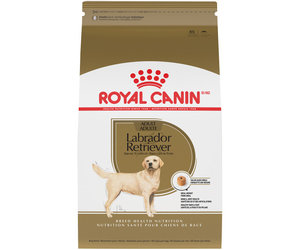 Labrador royal canin 2025