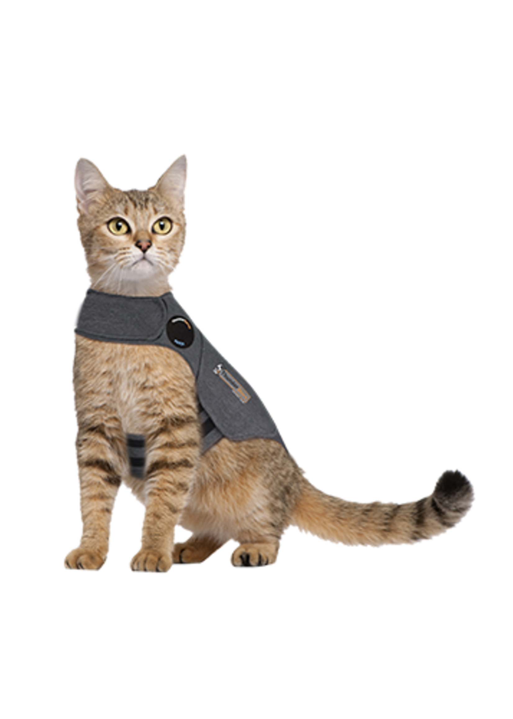 Thunder Works ThunderShirt for Cats Medium