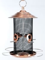 Copper Mixed Seed Feeder