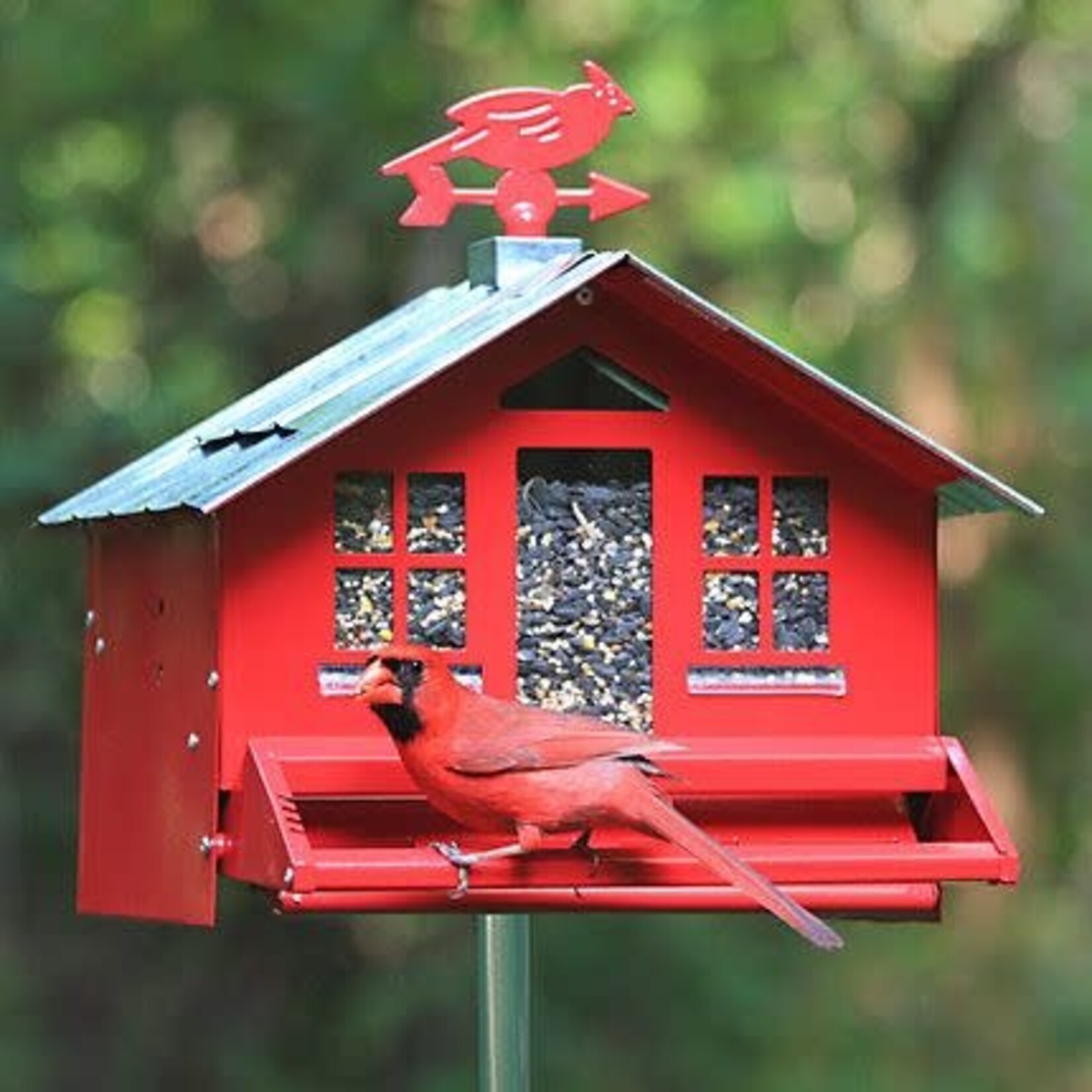 Squirrel Be Gone 2 Country Style Feeder (Red)