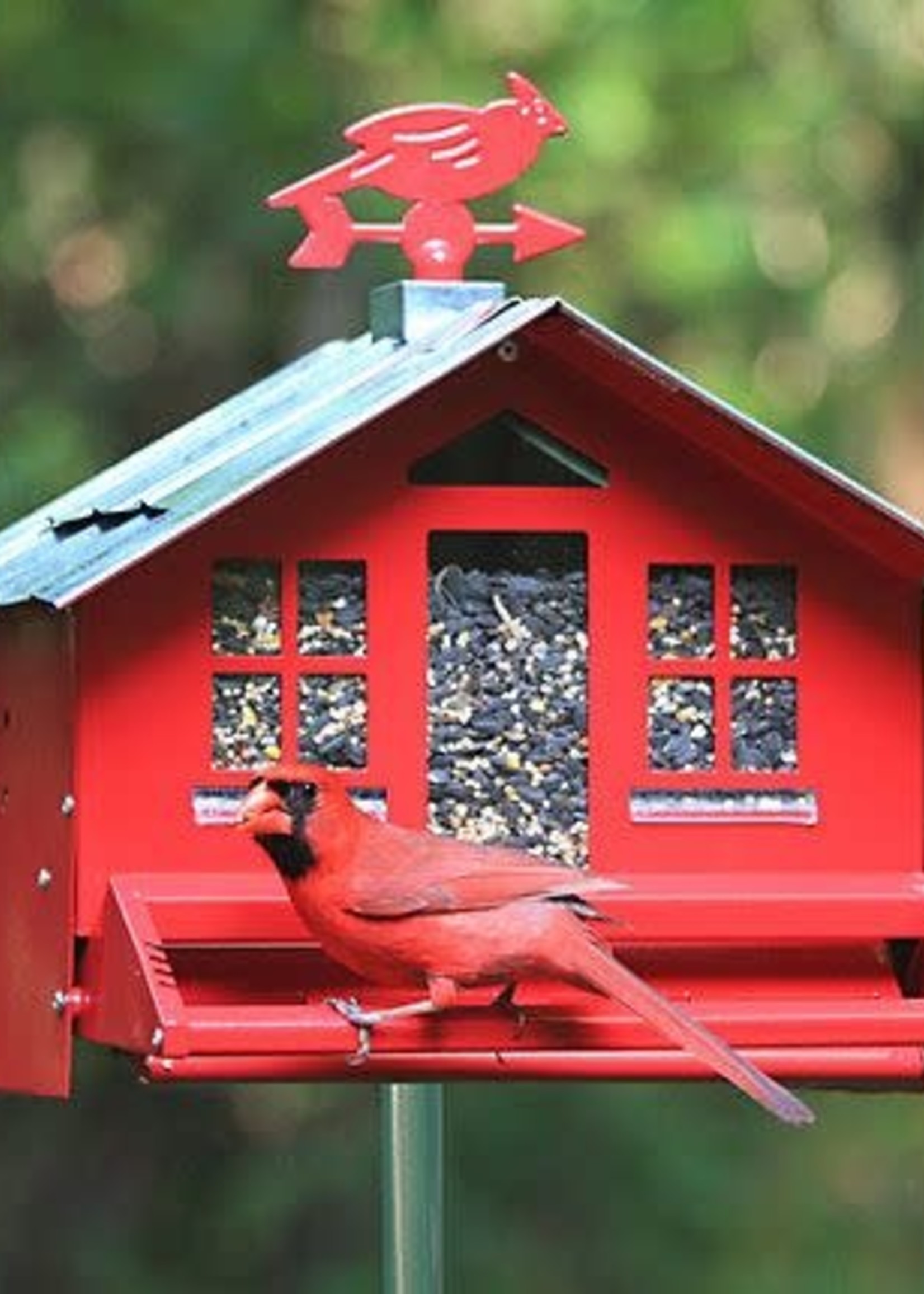 Perky Pet Squirrel Be Gone 2 Country Style Feeder (Red)