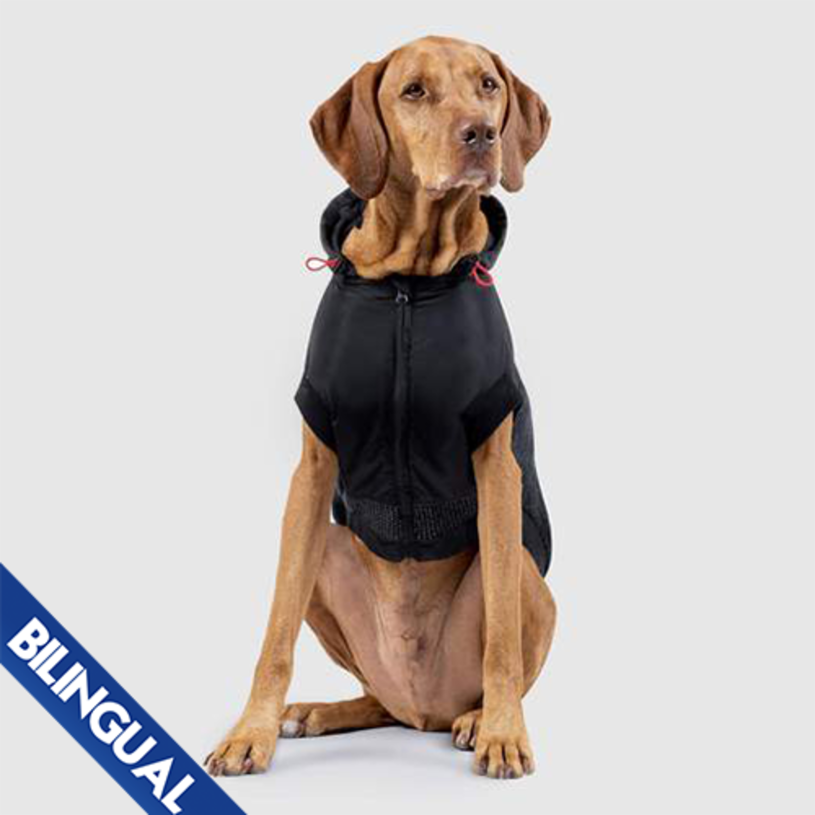 Canada Pooch Canada Pooch Refective Jacket Black 18"