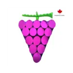 PawzNDogz™ Snuffle Mat - Forbidden Grapes - Level 4