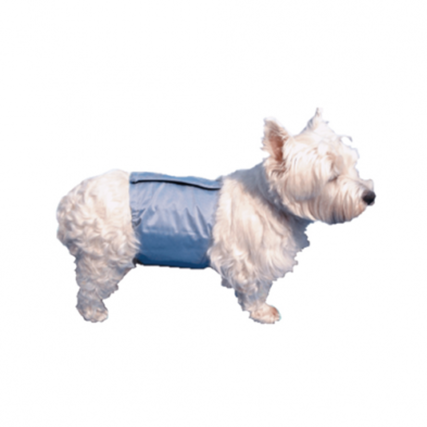 Pooch Pad™ PoochPants™ Reusable Male Wrap Medium