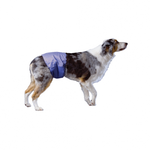 Pooch Pad™ PoochPants™ Reusable Male Wrap Large