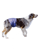 Pooch Pad™ PoochPants™ Reusable Male Wrap Large