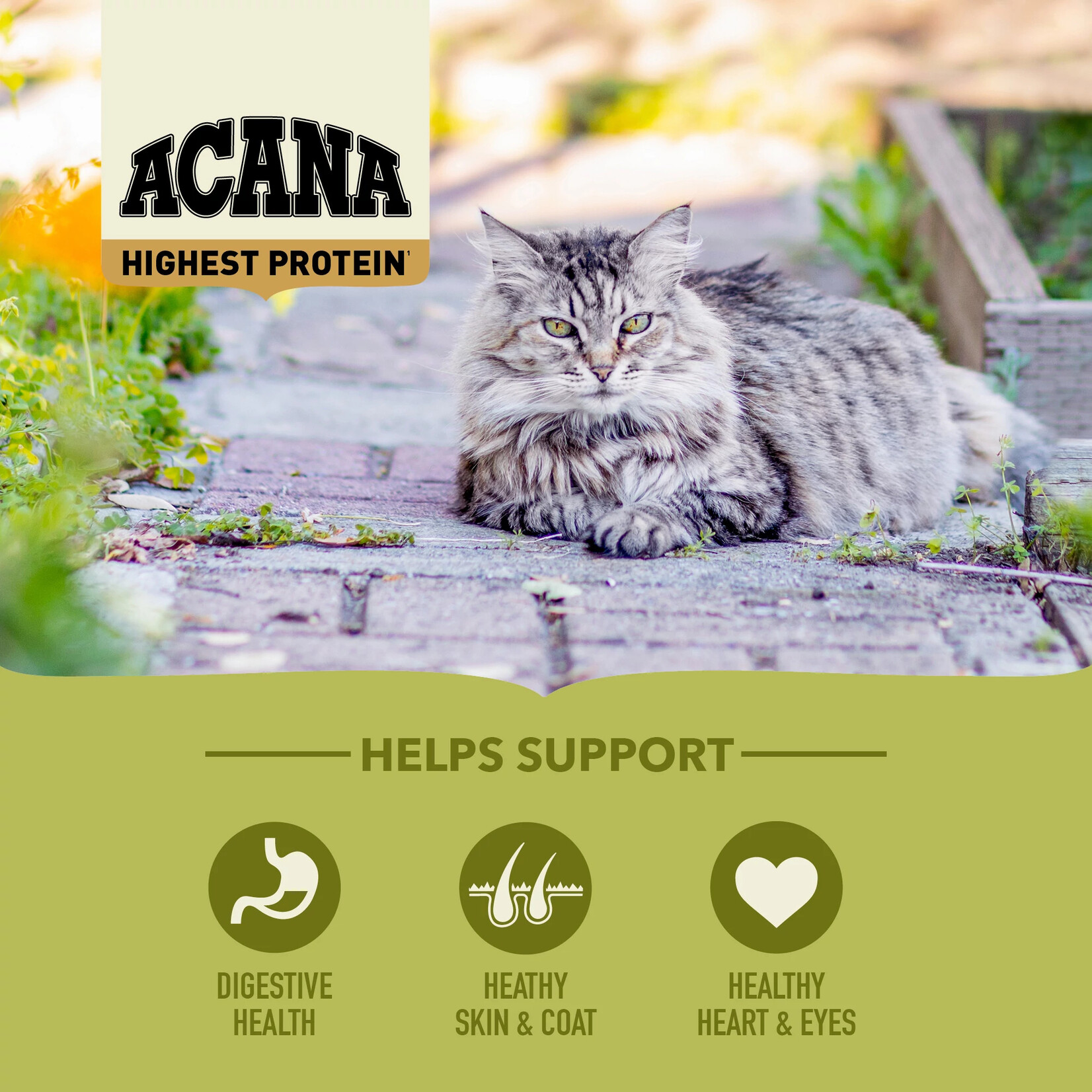 Acana® Acana Cat Regionals Grasslands 4.5kg