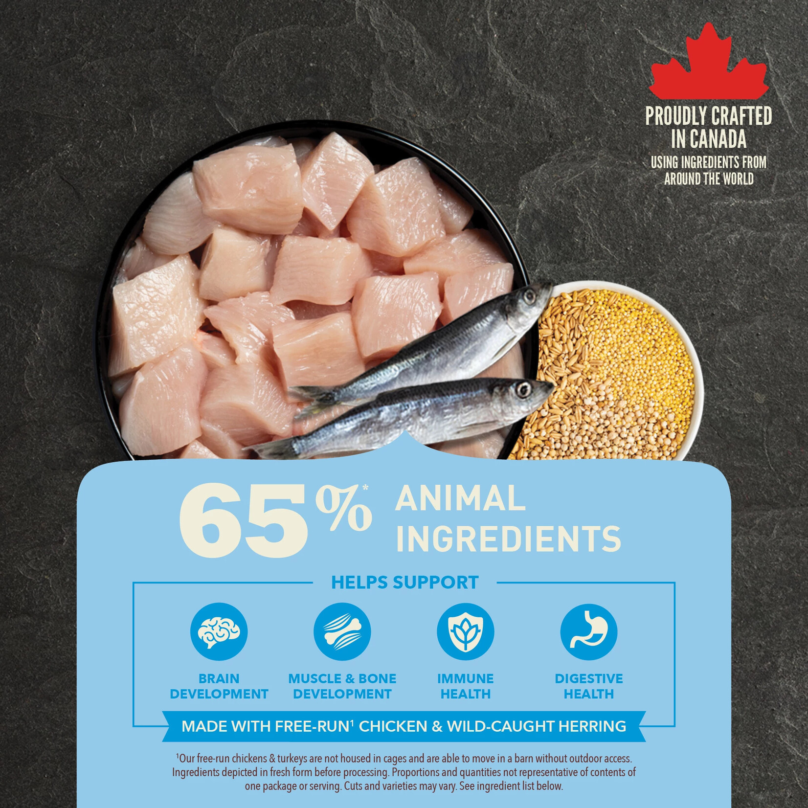 Acana® Acana Healthy Grains Puppy Recipe 10.2kg