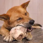 Bones