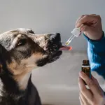 Supplements