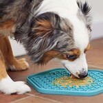 Lick mat