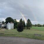 Dog Park