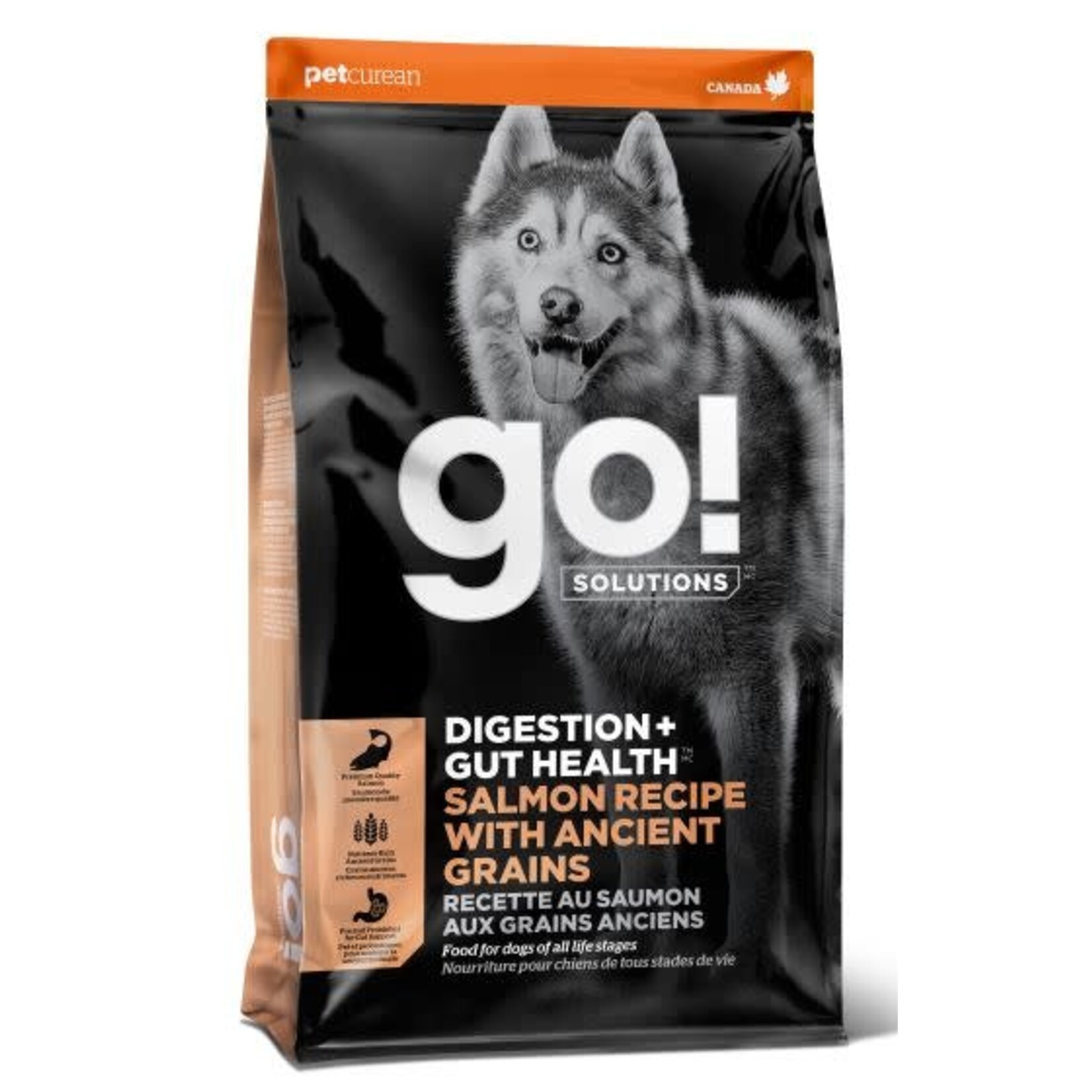 Go! Solutions Go Digestion Gut Health Salmon Recipe With Ancient Grain Dog 22lb