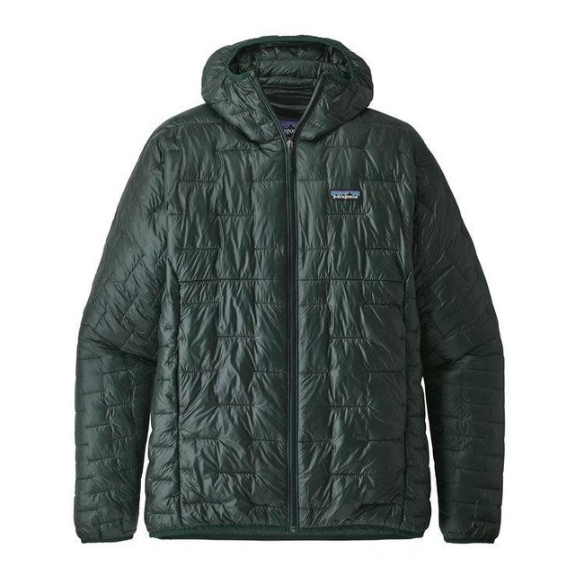 patagonia micro puff hoody mens