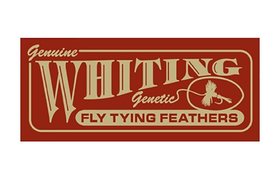 Whiting