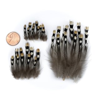 Natural Jungle Cock Feathers