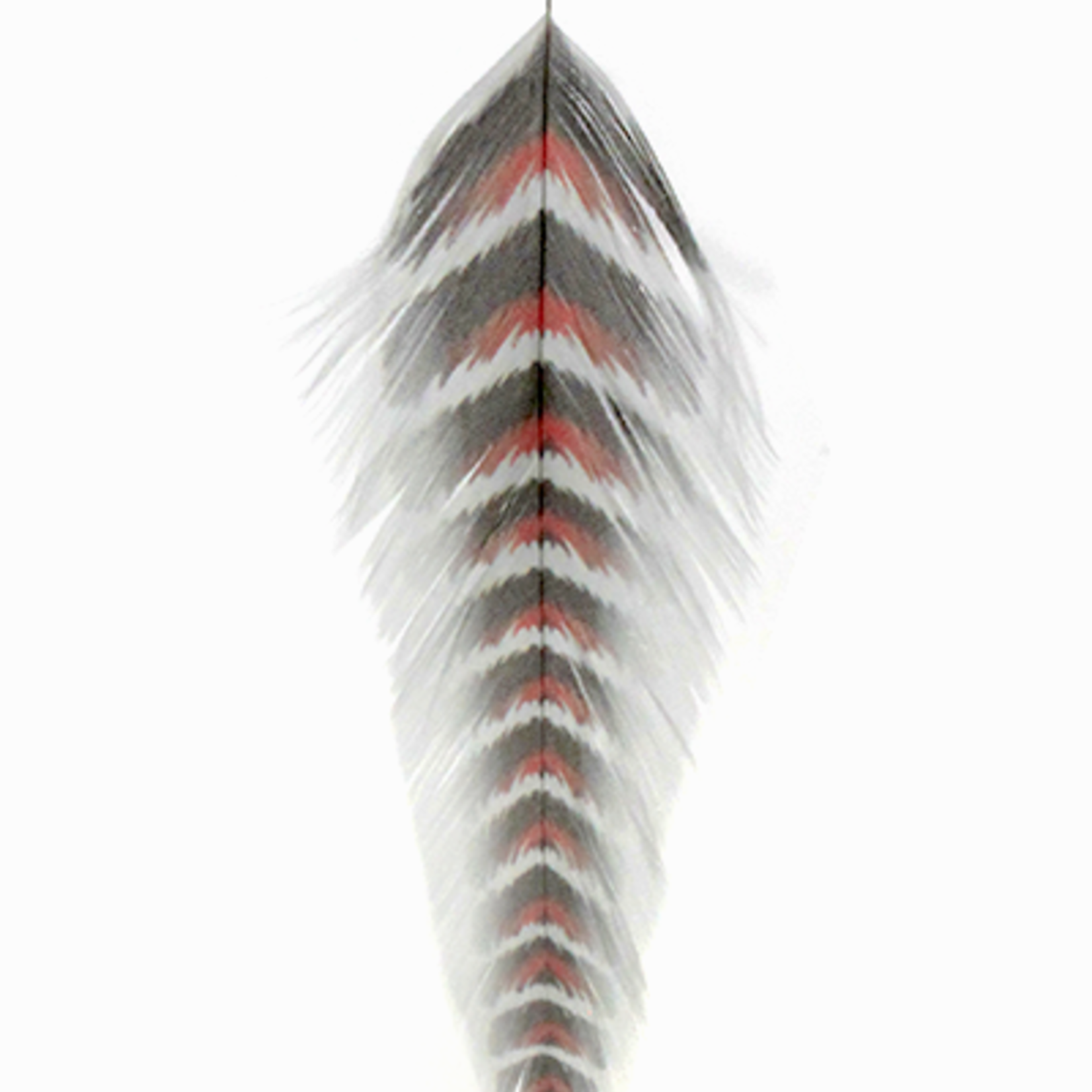 Montana Fly Company MFC Galloup's Fish Feathers Grizzled
