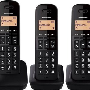 Panasonic KX-TGB613