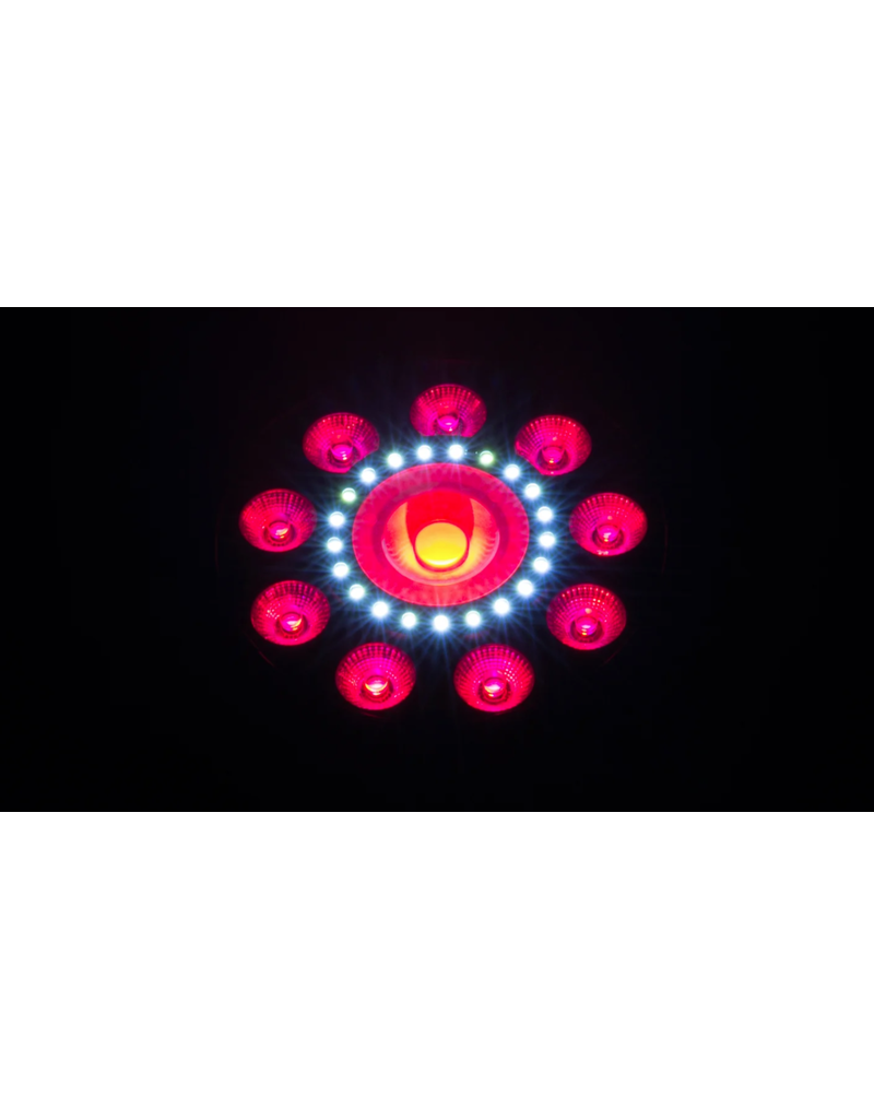 Chauvet DJ Chauvet DJ FXpar 9 Multi Effect Fixture with 9 RGB+UV LEDs Center LED and SMD Strobes