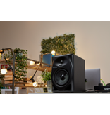 DM-50D Black 5" Compact Active Monitor Speaker (pair) - Pioneer DJ