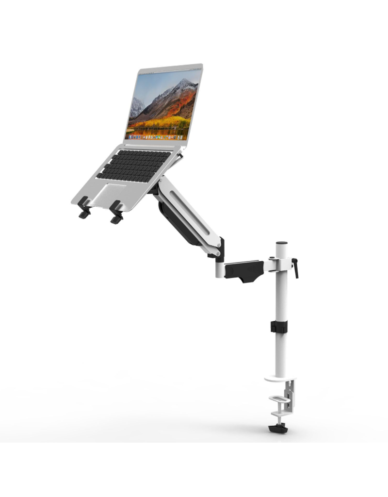 Odyssey Laptop Mount Arm Stand in White  (LSCT01W)